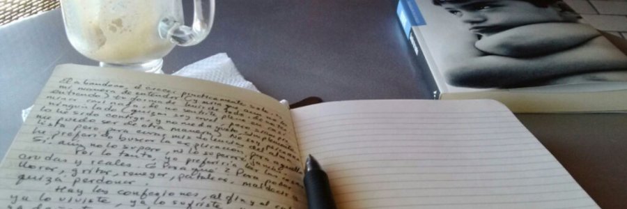 En el oficio literario