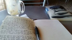 En el oficio literario