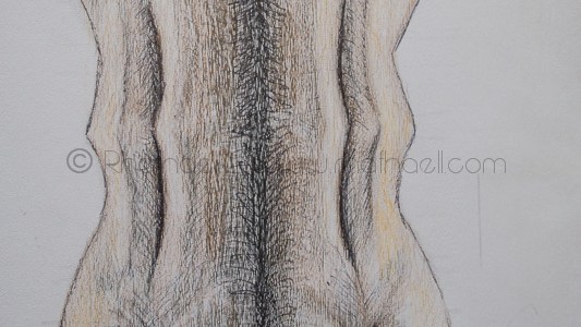 ilustraciones_rhafhaell_02