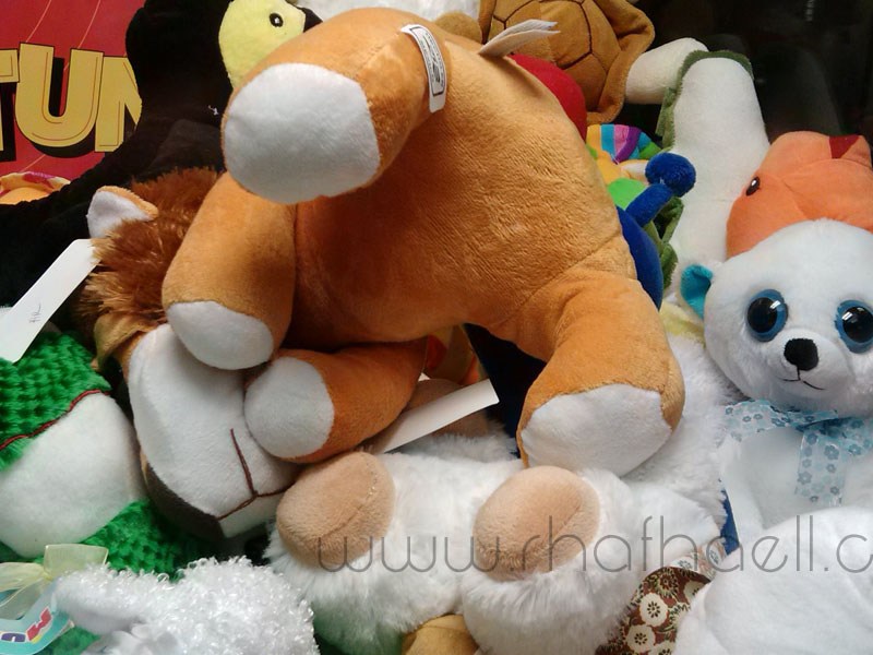 Los derechos de los&nbsp;animales