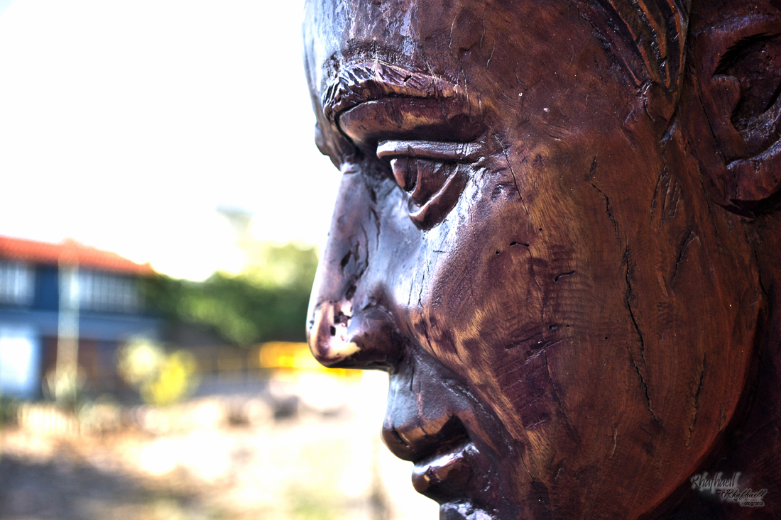 Los tronquitos Chihuahua