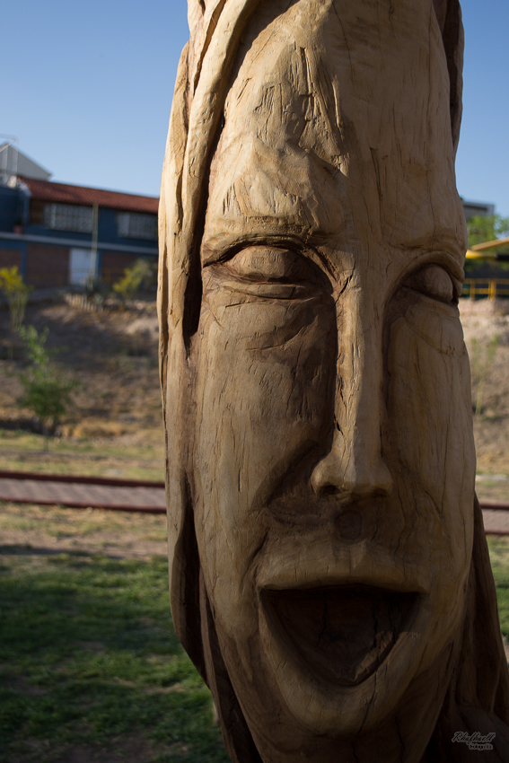 Rostro sobre madera Los Tronquitos Chihuahua