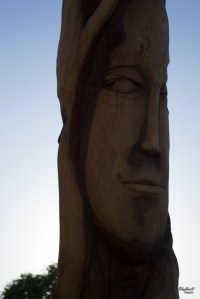 Esculturas de madera en el parque Los tronquitos Chihuahua