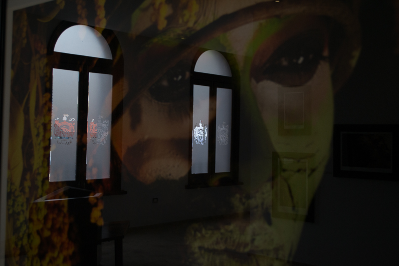 Origenes de Millo en&nbsp;Chihuahua