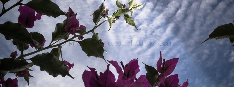 Bajo la superficie del cielo por Rhafhaell