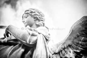 guardianes_del_santuario_rhafhaell_10