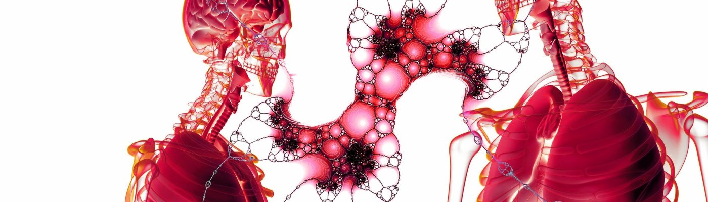 12 retos para escribir el cuerpo