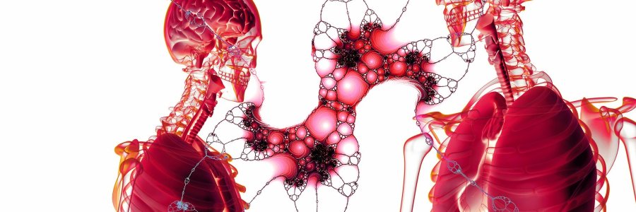 12 retos para escribir el cuerpo