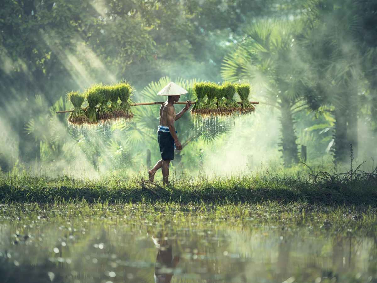 Globalización ¿una sola&nbsp;cultura?