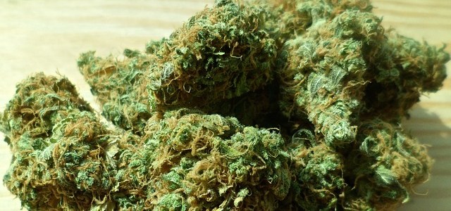 Rhafhaell - cannabis marihuana