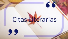 Citas Literarias