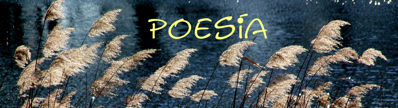 poesia